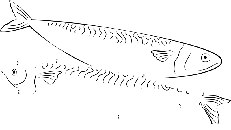 Korean Mackerel dot to dot worksheets