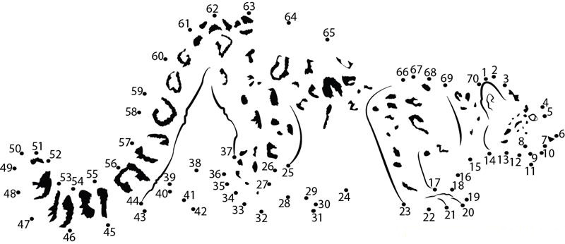 Energetic Snow Leopard dot to dot worksheets