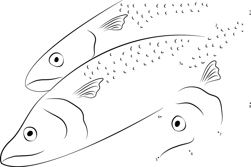 Papuan Spanish Mackerel printable dot to dot worksheet