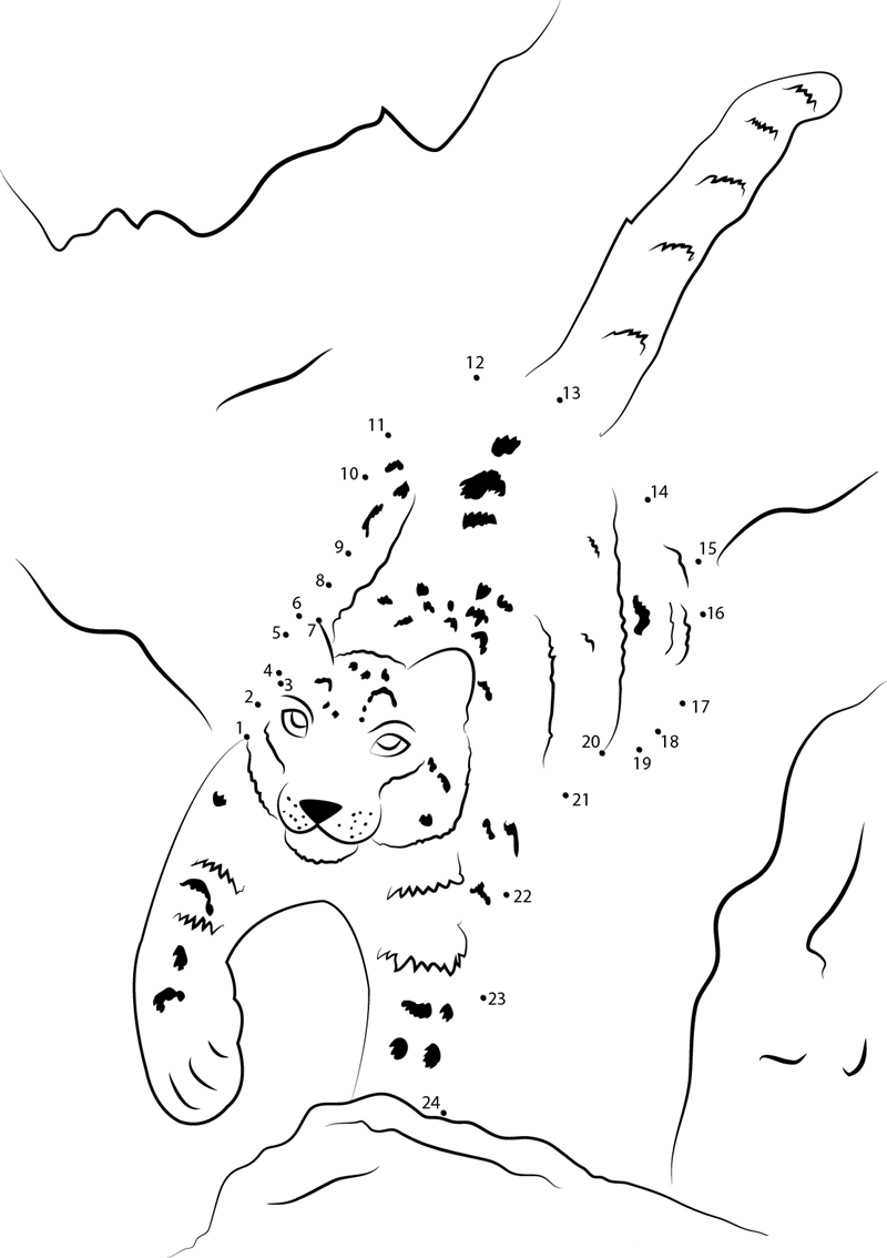 Maher Snow Leopard dot to dot worksheets