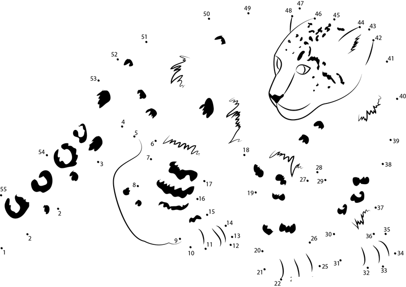 Smiling Snow Leopard dot to dot worksheets