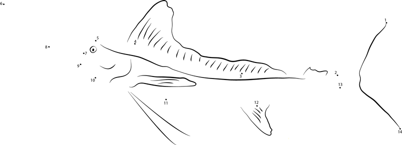 Marlin Fish Underwater dot to dot worksheets