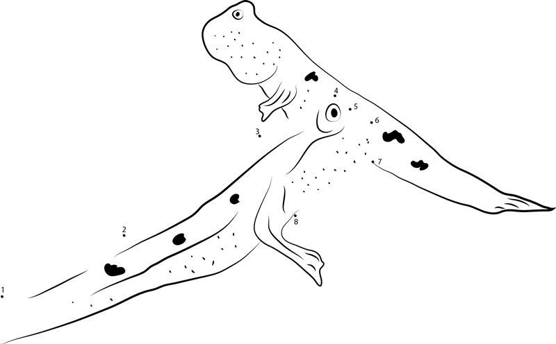 Gambian Mudskippers printable dot to dot worksheet