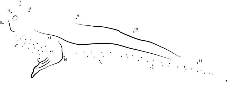 Giant Mudskipper printable dot to dot worksheet