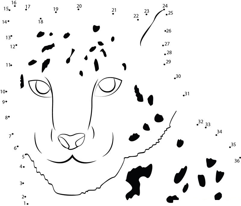 Snow Leopard dot to dot worksheets