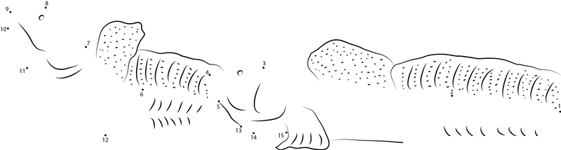 Mudskipper printable dot to dot worksheet