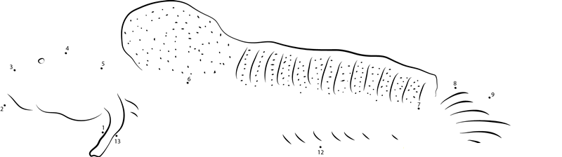 Mudskipper In Indian Ocean dot to dot worksheets