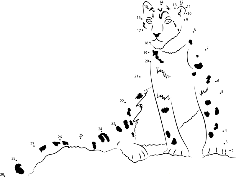 Snow Leopard dot to dot worksheets