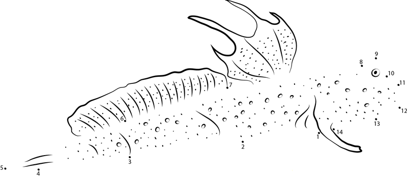 Mudskippers In Pacific Ocean printable dot to dot worksheet