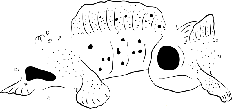 Mudskippers Open Mouth printable dot to dot worksheet