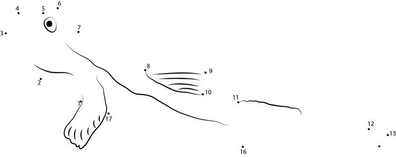 Periophthalmodon Schlosseri printable dot to dot worksheet