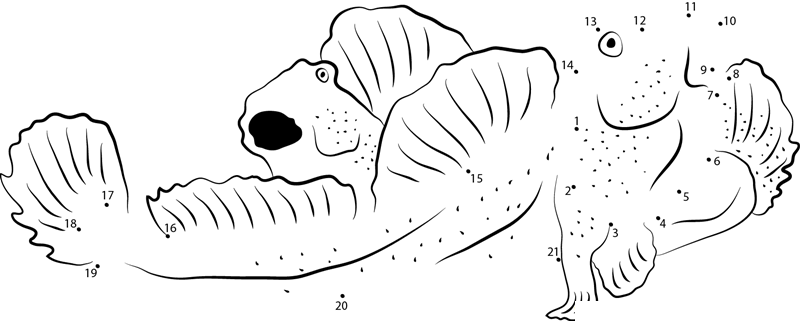 Periophthalmus Waltoni dot to dot worksheets