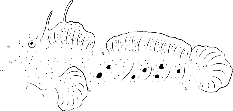 Spotted Mudskipper dot to dot worksheets