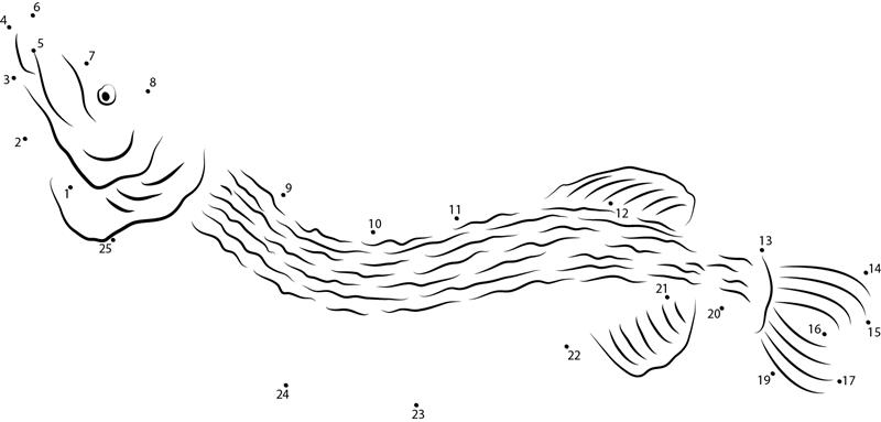 Northern Pike dot to dot worksheets