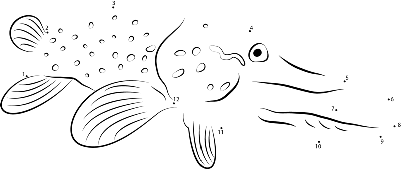 Northern Pike Face printable dot to dot worksheet