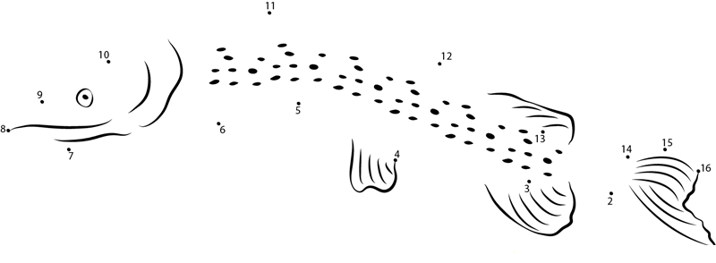 Northern Pike Fish dot to dot worksheets