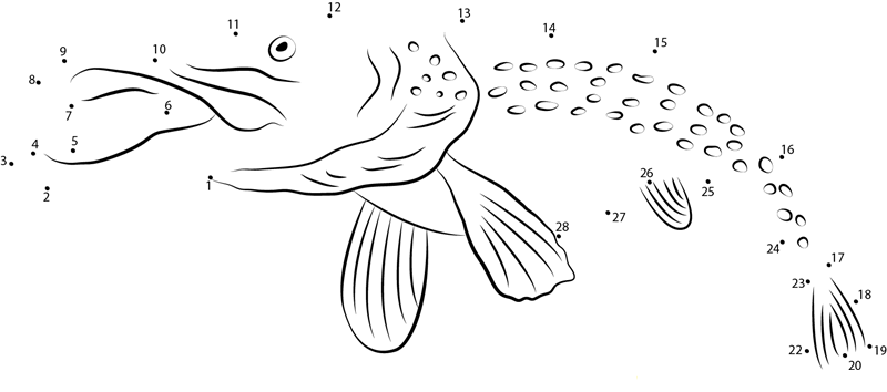 Northern Pike In California dot to dot worksheets