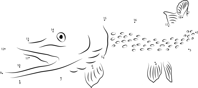 Northern Pike In Pacific Ocean dot to dot worksheets