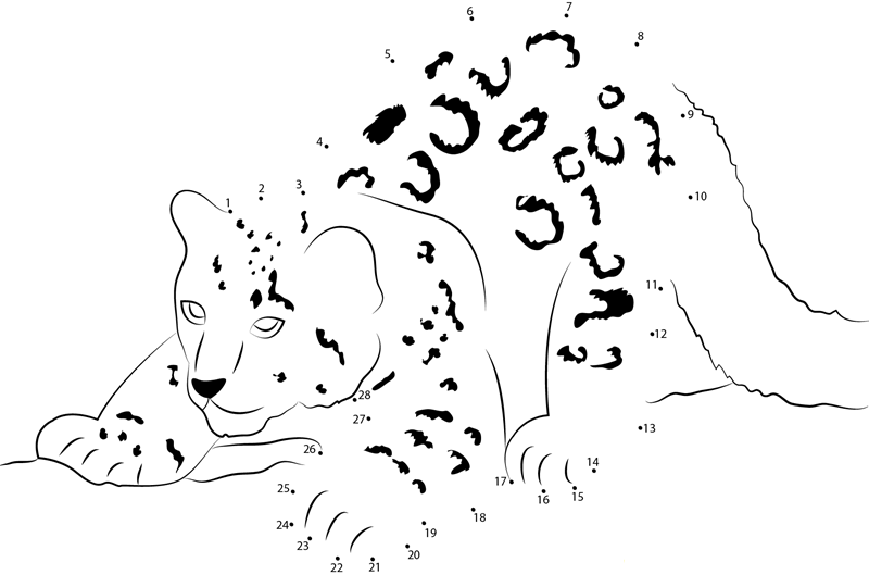 Snow Leopard Cub printable dot to dot worksheet