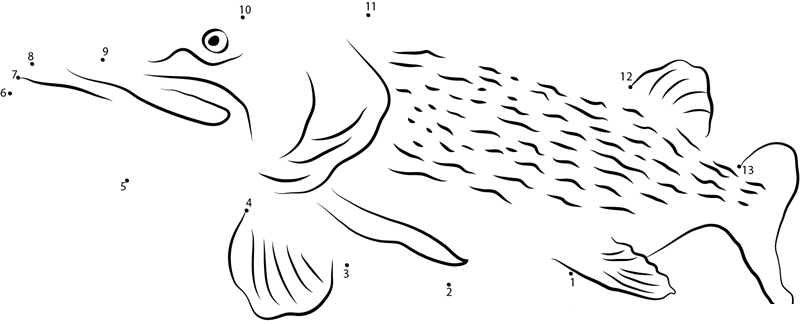 Northern Pike In Public Aquarium printable dot to dot worksheet