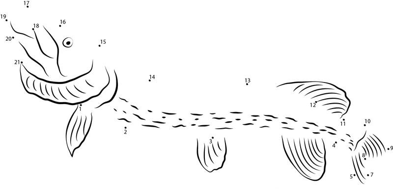 Northern Pike In The Straussee dot to dot worksheets