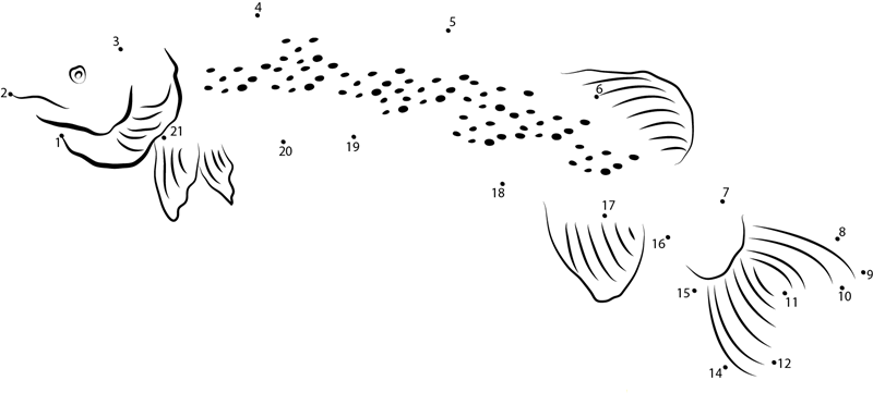 Northern Pike Underwater dot to dot worksheets