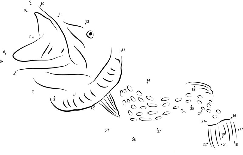 Pike In Salto Lake printable dot to dot worksheet