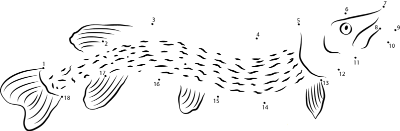 Pike Swimming printable dot to dot worksheet