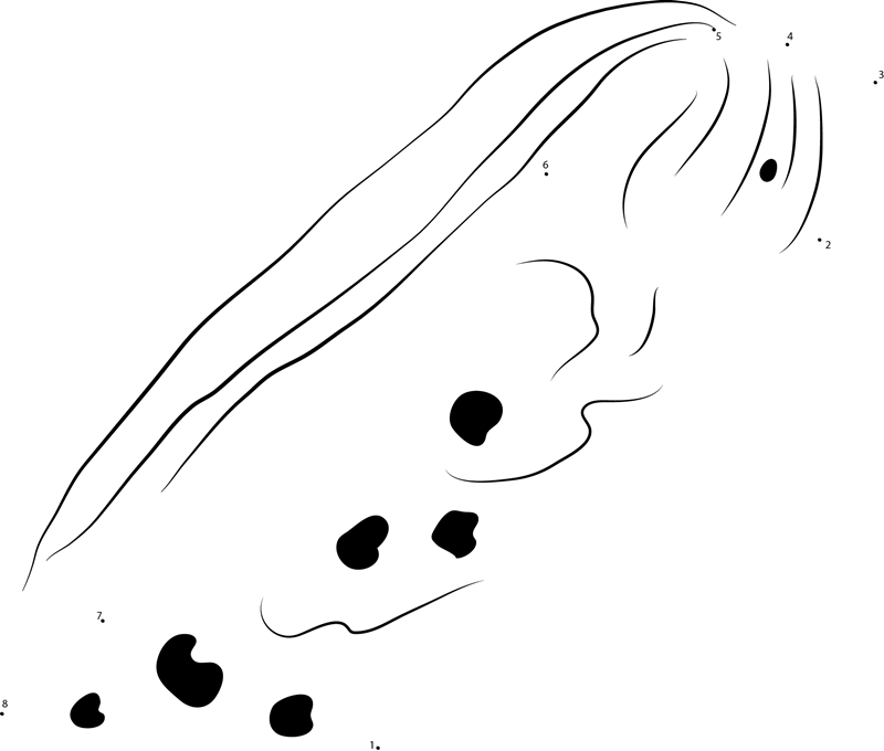 Oarfish Face dot to dot worksheets