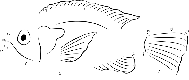 Banded Sunfish dot to dot worksheets