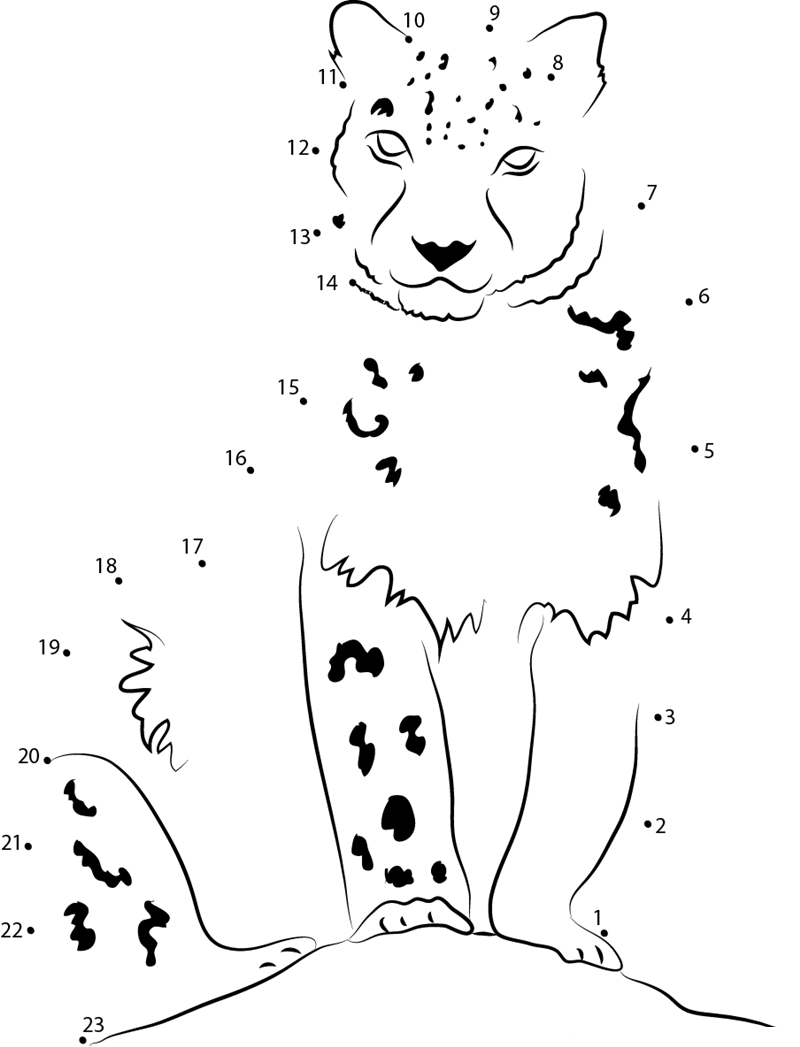 Snow Leopard Looking At Me printable dot to dot worksheet