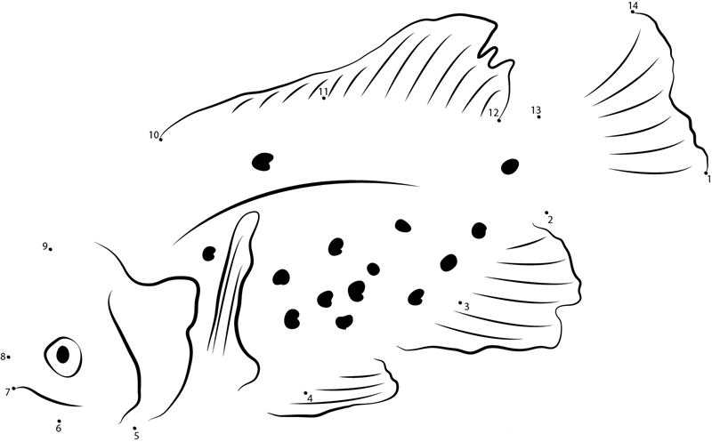 Brown Spotted Sunfish printable dot to dot worksheet