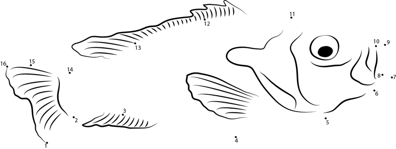 Common Mola printable dot to dot worksheet