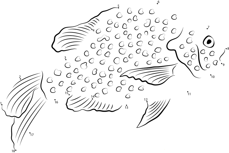 Lepomis Macrochirus printable dot to dot worksheet