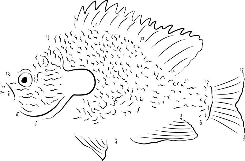 Longear Sunfish printable dot to dot worksheet