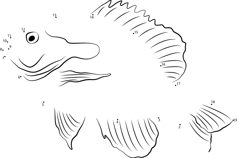 Ocean Sunfish In National Aquarium dot to dot worksheets