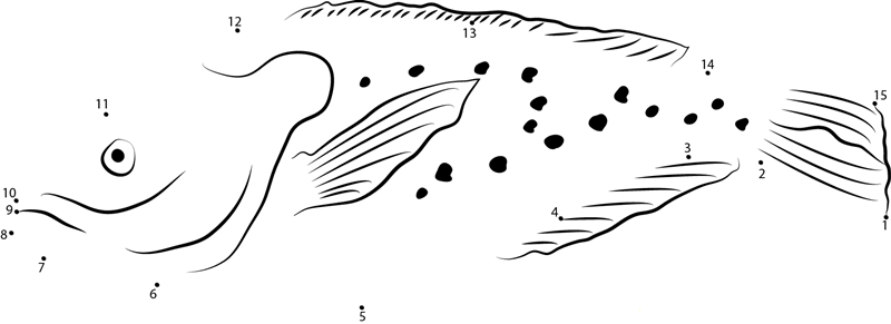 Orange Spotted Sunfish dot to dot worksheets