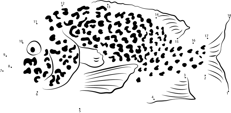 Spotted Ocean Sunfish dot to dot worksheets