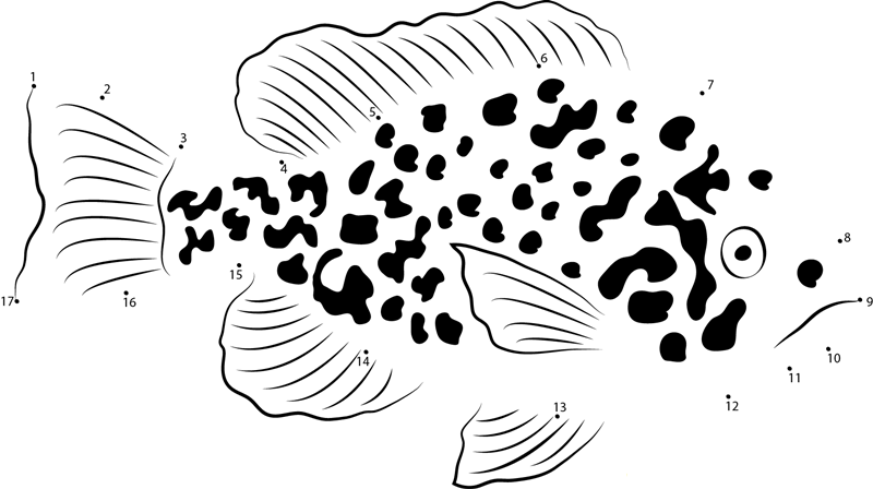 Sunfish printable dot to dot worksheet