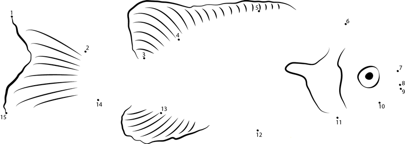 Sunfish Underwater dot to dot worksheets