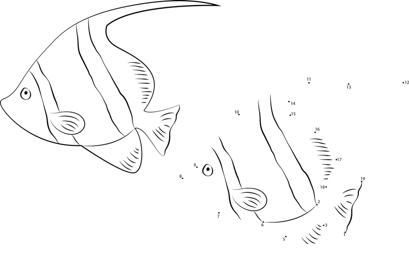 Red Sea Bannerfish printable dot to dot worksheet