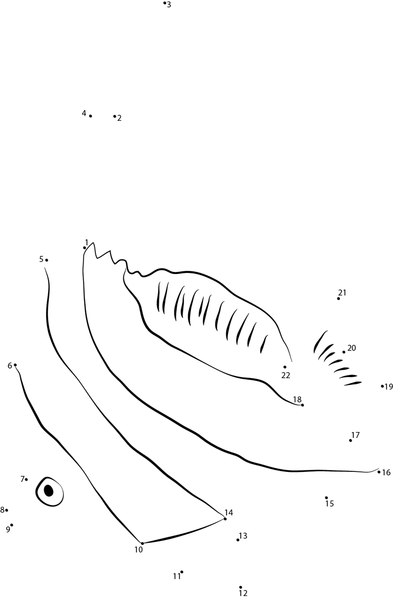 Schooling Bannerfish printable dot to dot worksheet