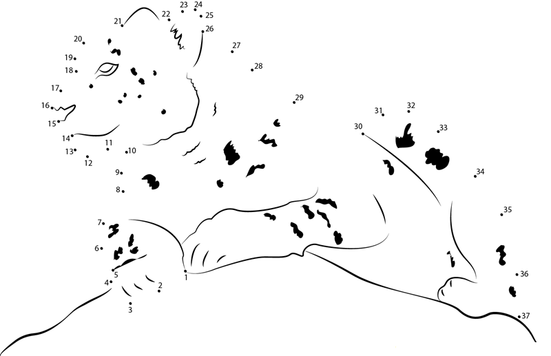 Snow Leopard Sitting printable dot to dot worksheet