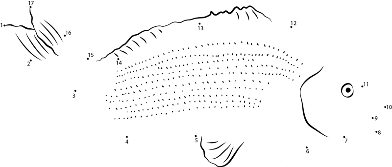 Bidyanus Bidyanus dot to dot worksheets