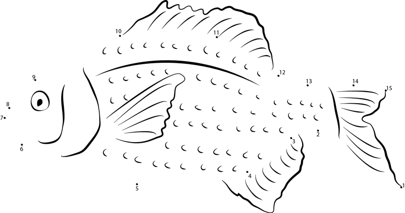 Black Perch printable dot to dot worksheet