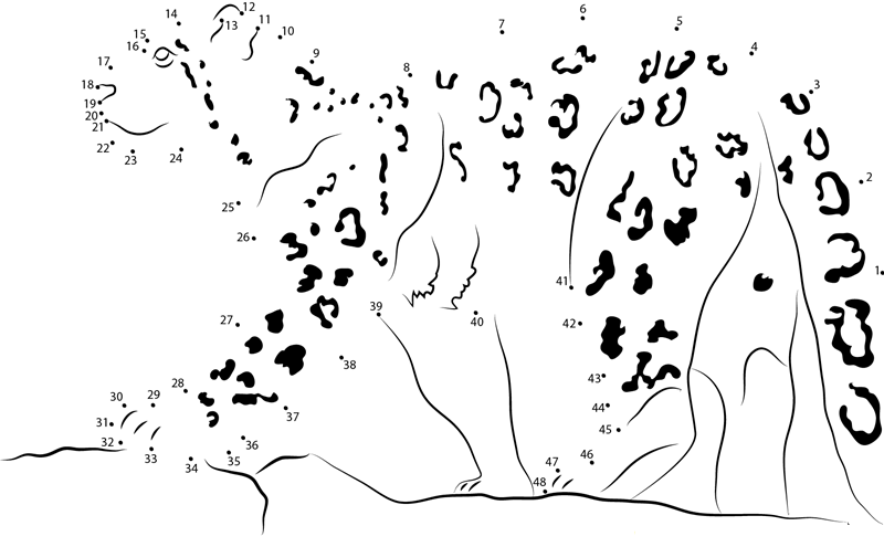 Snow Leopard Walking On Rock dot to dot worksheets