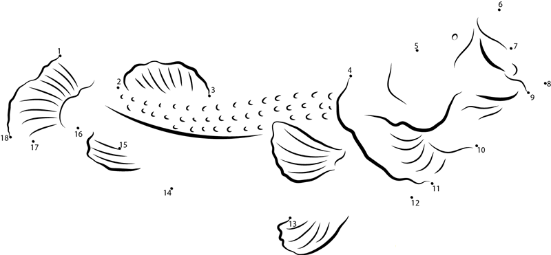 Perch Open Mouthed dot to dot worksheets