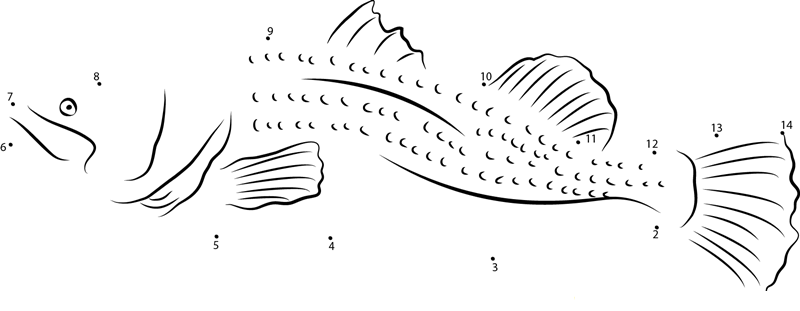 River Perch printable dot to dot worksheet