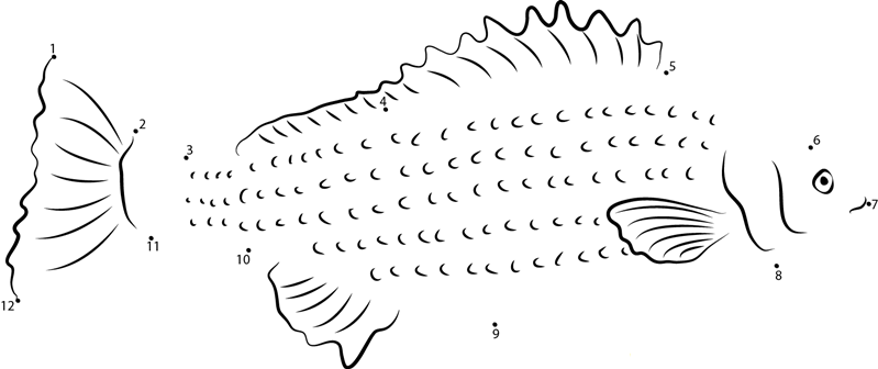 Silver Perch dot to dot worksheets