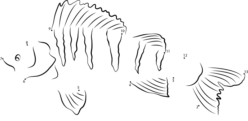 Spotted Perch dot to dot worksheets